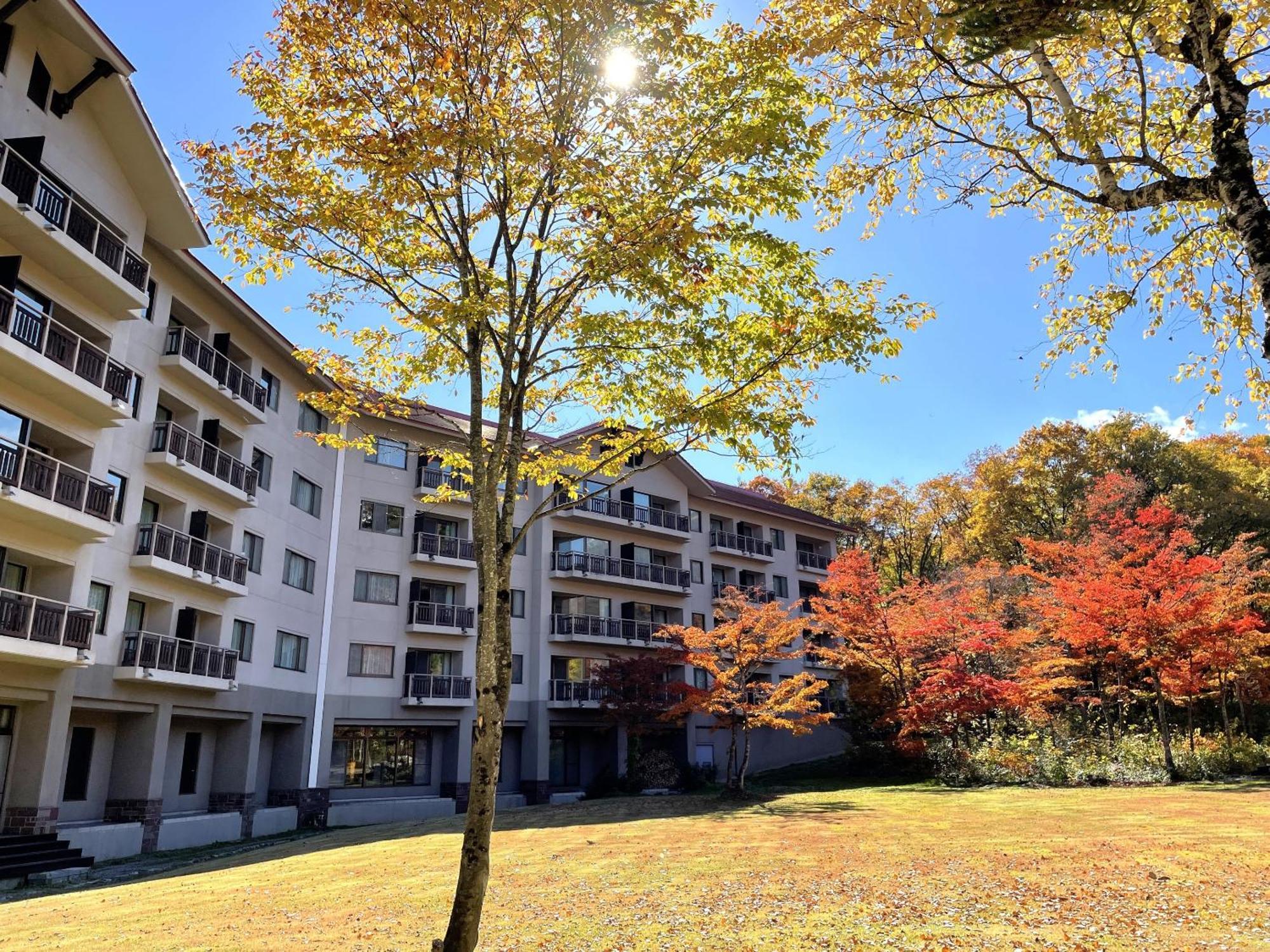 Hakuba Tokyu Hotel Нагано Екстериор снимка